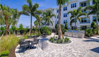 A patio with tables and chairs and palm trees in front of a building